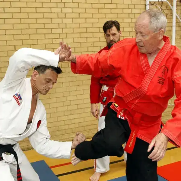 Soke James McDade – Total Self Defence archive photograph 5